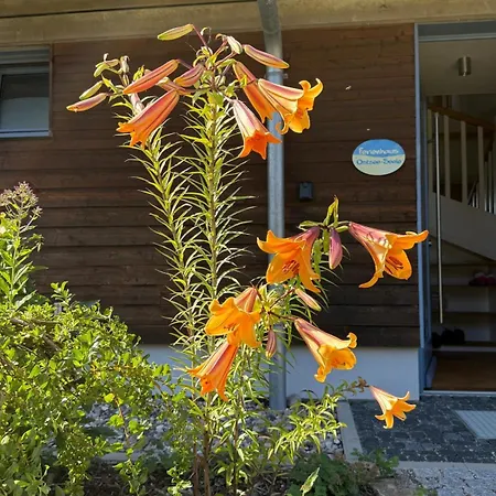 Bio-holzferienhaus 